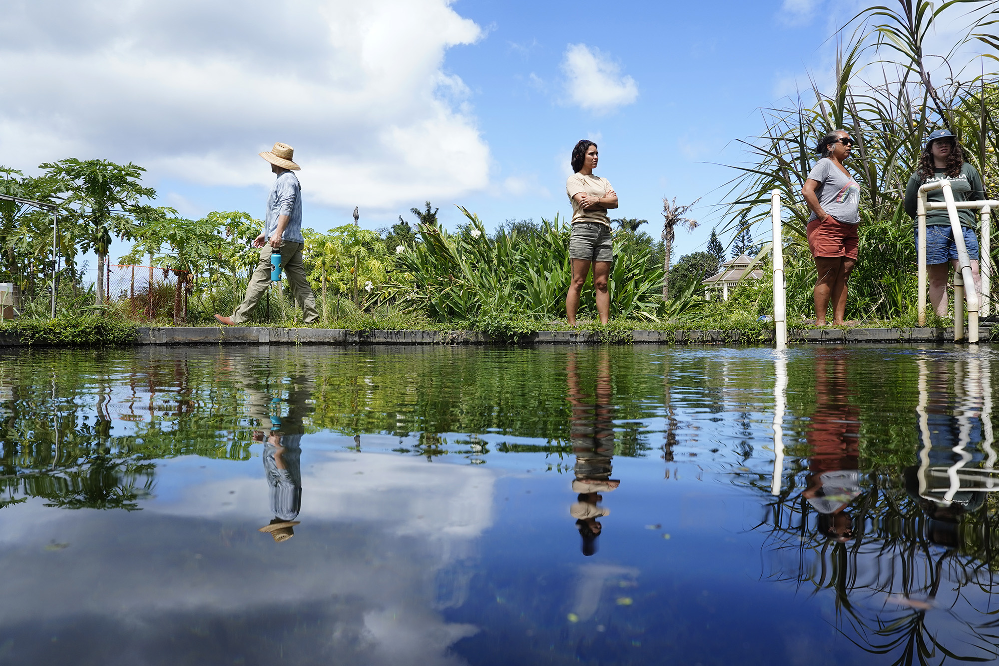 Nā Mea Kūpono Learning Center kalo farm’s punawai reflects Agriculture Stewardship Hawaiʻi’s Dave Elliot, from left, Kaliko High, kalo farmer Ku‘uipo Garrido and Taylor Kaili McKenzie Wednesday, Oct. 1, 2025, in Waialua. Agriculture Stewardship Hawaiʻi recently completed a three-year project supporting conservation on 11 farms and ranches from Wahiawā to the North Shore, with the goal of improving water quality in the Kaukonahua sub-watershed. This effort was part of our ongoing Healthy Soils and Watersheds Program, which will launch a new project in 2026. Through these projects, agricultural producers receive financial and technical assistance to help incentivize and sustain conservation practices on their lands. (Kevin Fujii/Civil Beat/2025)