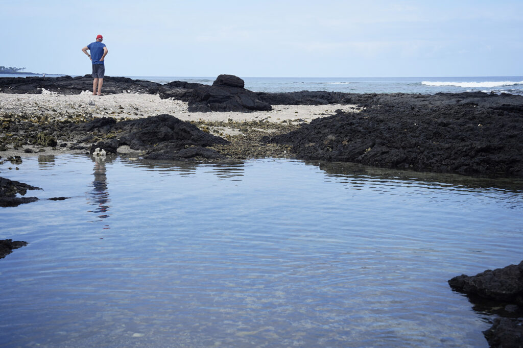 George Fry scans the horizon at 138 #9 Turtle Beach Friday, Oct. 3, 2025, in Waimea. (Kevin Fujii/Civil Beat/2025)