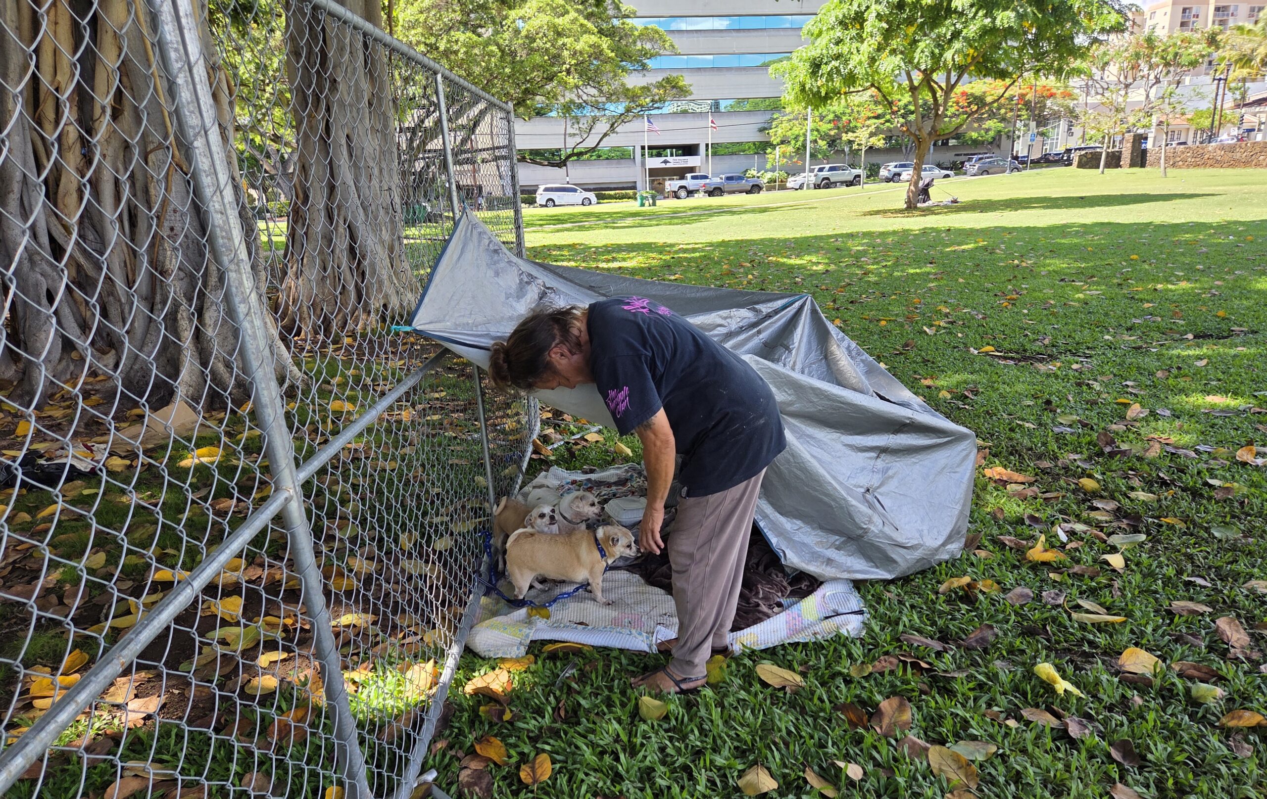 Sharolyn Rodrigues in Thomas Square with her dogs