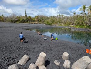 Will Bailey: State’s Dredging Of Pohoiki Bay Fails Quickly And Completely