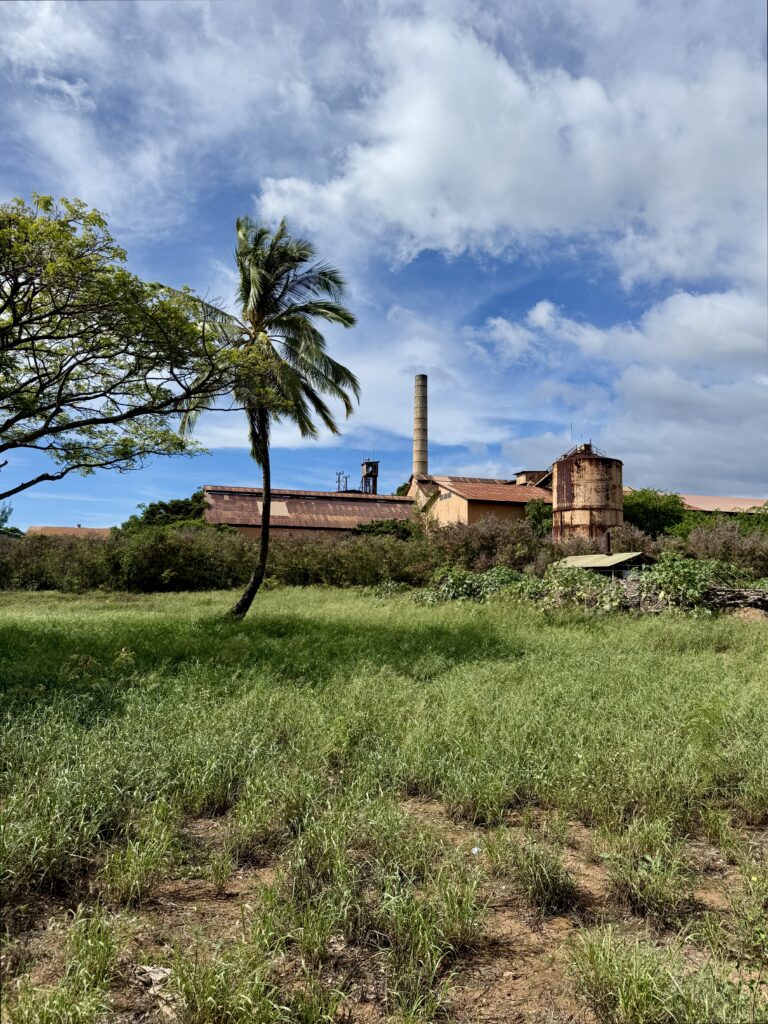 The new owner of the eastern portion of a long-abandoned sugar mill property in Kauaʻi's westernmost town has plans to build farm worker and family housing where plantation camp homes once stood. (Brittany Lyte/Civil Beat/2025)