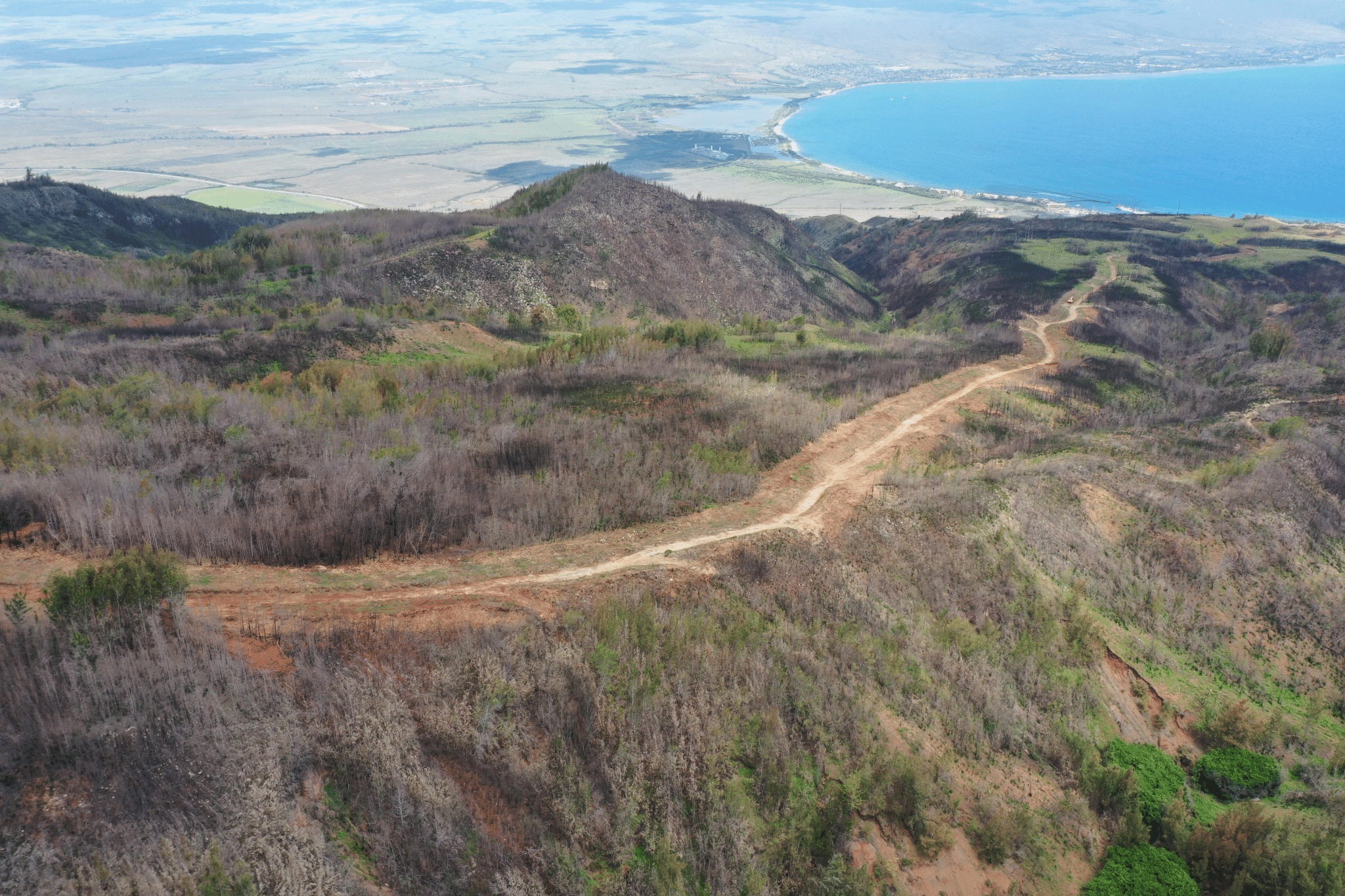 かがり火 JAL B8 Hawaiʻi Needs More Firebreaks. Maui Is Making It Happen - Honolulu