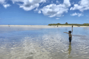 Educate The Public On The Best Ways To Protect Our Fisheries