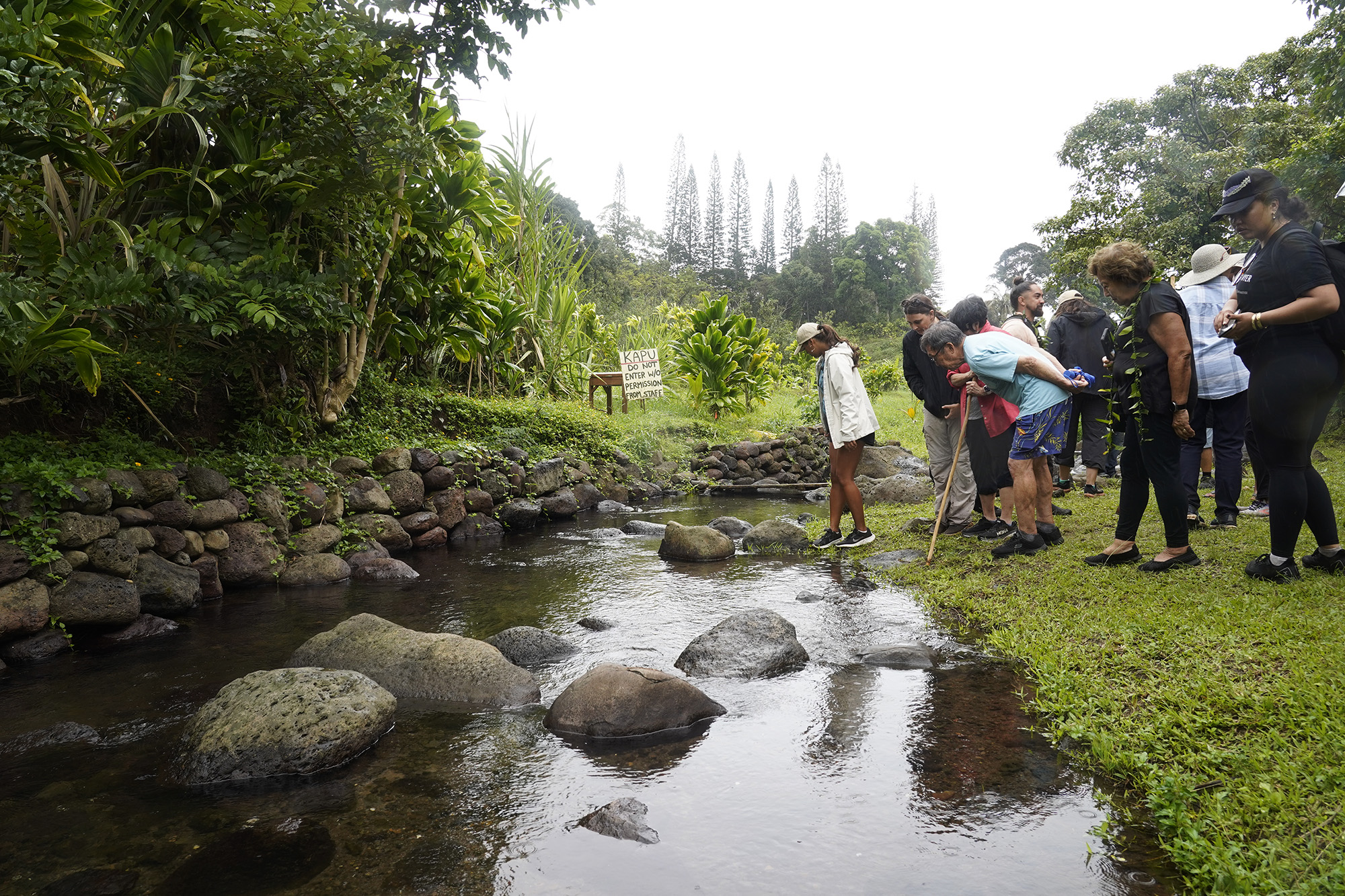 The Department of Land and Natural Resources’ (DLNR) Commission on Water Resource Management (CWRM) and the Honolulu Board of Water Supply visit Papahana Kuaola Monday, Nov. 10, 2025, in Kāneʻohe. (Kevin Fujii/Civil Beat/2025)