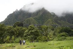 Will Hawaiʻi Take This Native Hawaiian Advisory Group Seriously?