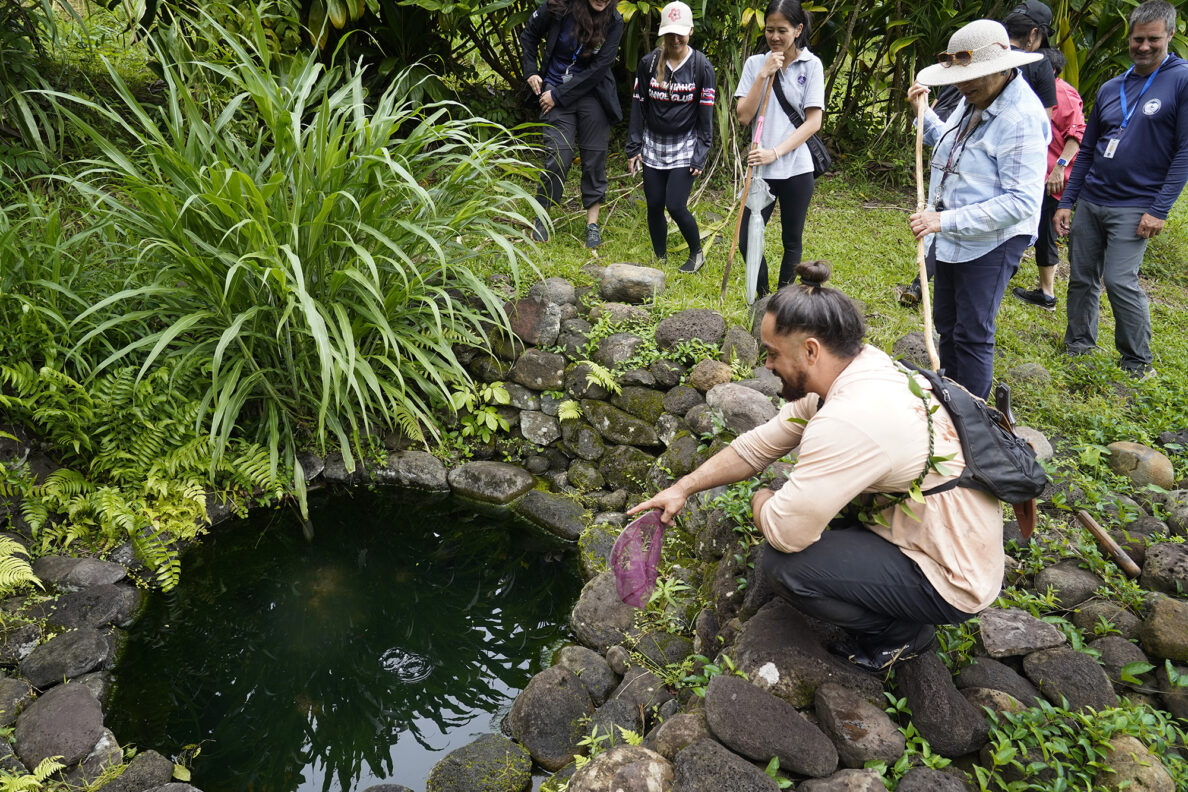 A punawai or fresh-water spring at Papahana Kuaola is pointed out during the Department of Land and Natural Resources’ (DLNR) Commission on Water Resource Management (CWRM) and the Honolulu Board of Water Supply tour of multiple windward agriculture institutions Monday, Nov. 10, 2025, in Kāneʻohe. (Kevin Fujii/Civil Beat/2025)
