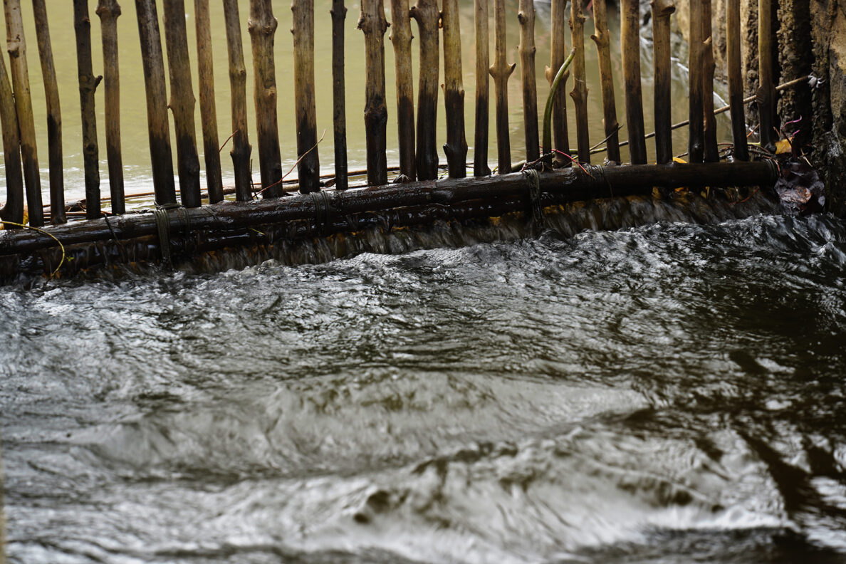 Wai flows through a mākāhā, a gate, into the Heʻeia Fishpond during a Department of Land and Natural Resources’ (DLNR) Commission on Water Resource Management (CWRM) and the Honolulu Board of Water Supply visit to multiple windward agriculture institutions Monday, Nov. 10, 2025, in Kāneʻohe. (Kevin Fujii/Civil Beat/2025)