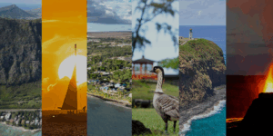 Help Pick The Winner Of Civil Beat’s 2025 Neighborhood Haiku Contest