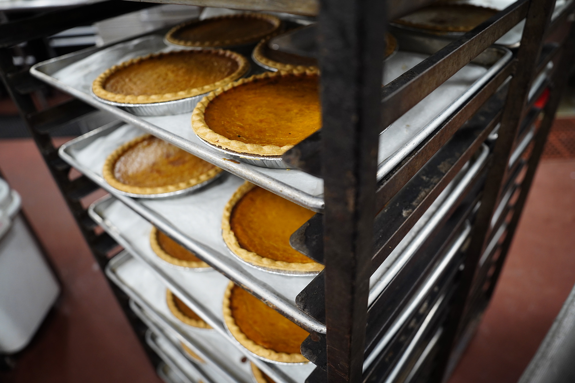 A rack of pumpkin pies cool at Hilton Hawaiian Village’s bake shop for the 450 Thanksgiving meals they’ll prepare Tuesday, Nov. 25, 2025, in Honolulu. 60 pumpkin pies will be made for the 30th year of donating to the Institute for Human Services (IHS). (Kevin Fujii/Civil Beat/2025)
