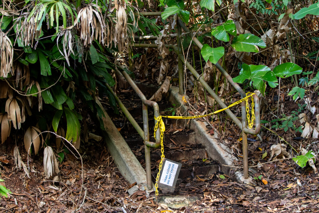 Trail closures at Wahiawā Botanical Garden to protect guests from hazardous conditions. (Leilani Combs/Civil Beat/2025)