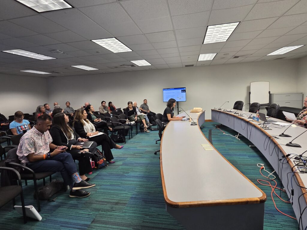 Bettina Mok, executive director of The Legal Clinic, testifying at a state Senate hearing on immigration enforcement.
