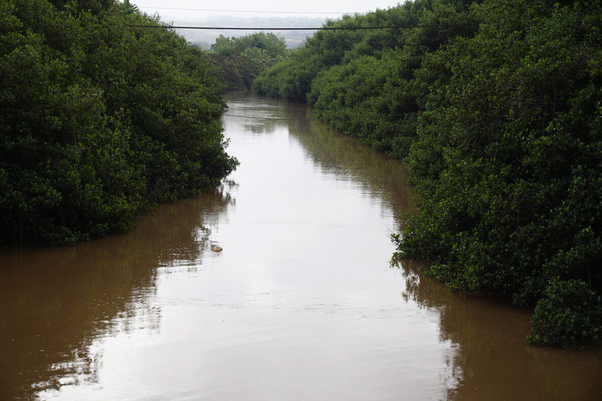 The Kaukonahua Stream runs muddy toward a bridge on Waialua Beach Road Monday, Dec. 15, 2025, in Waialua. (Kevin Fujii/Civil Beat/2025)