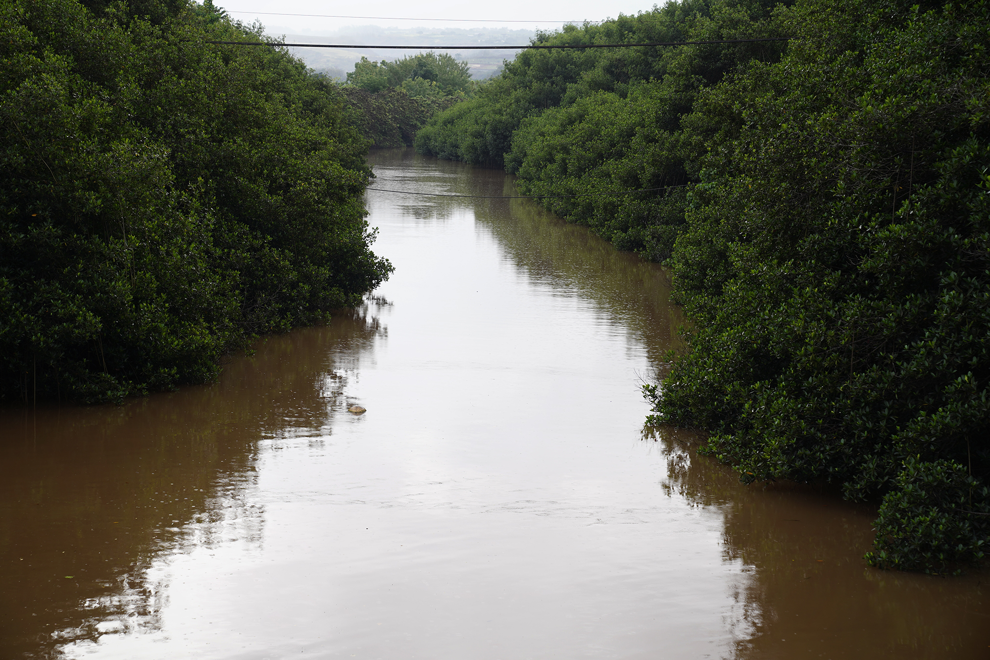 Hawaiʻi Farmers Are Fighting To Keep Their Soil From Flushing Out To Sea