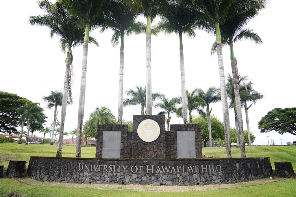Picture of the University of Hawaiʻi Hilo campus sign. The sign is a rock wall with University of Hawaiʻi at Hilo in large metal letters. A row of palm trees stand behind it. photographed Tuesday, Dec. 16, 2025, in Hilo. (Kevin Fujii/Civil Beat/2025)