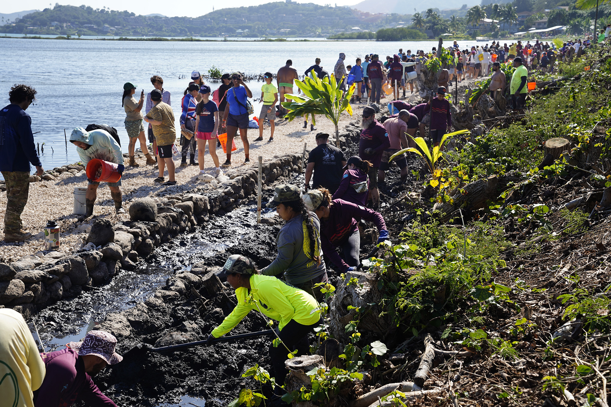 Moʻokuapā volunteers create a ditch along the new wall of the He‘eia Loko I‘a Saturday, Dec. 13, 2025, in Kāneʻohe. 2,000 volunteers joined the Moʻokuapā community work day to finish the wall of the 800-year-old He‘eia loko i‘a (fishpond). (Kevin Fujii/Civil Beat/2025)