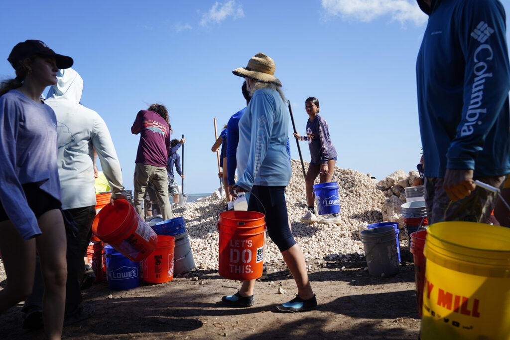 Moʻokuapā volunteers load buckets with ko‘a (coral) Saturday, Dec. 13, 2025, in Kāneʻohe. 2,000 volunteers joined the Moʻokuapā community work day to finish the wall of the 800-year-old He‘eia loko i‘a (fishpond). (Kevin Fujii/Civil Beat/2025)