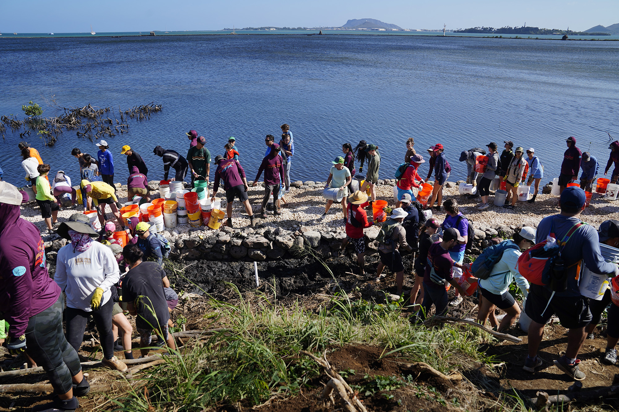 Moʻokuapā volunteers laulima (work together to move) buckets of ko‘a (coral) down to the new section of wall for He‘eia Loko I‘a Saturday, Dec. 13, 2025, in Kāneʻohe. 2,000 volunteers joined the Moʻokuapā community work day to finish the wall of the 800-year-old He‘eia loko i‘a (fishpond). (Kevin Fujii/Civil Beat/2025)