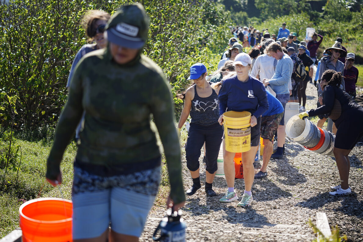 Some of the 2,000 volunteers walk buckets of ko‘a (coral) pieces for Moʻokuapā, a Paepae O He‘eia event to complete re-building the wall surrounding the He‘eia loko i‘a (fishpond) Saturday, Dec. 13, 2025, in Kāneʻohe. The volunteers joined the Moʻokuapā community work day event to support the 800-year-old He‘eia loko i‘a. (Kevin Fujii/Civil Beat/2025)