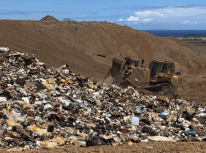 A Call To Hawaiʻi Merchants: Help End Food Waste