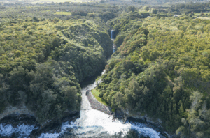 Kirstin Downey: This Lush Big Island Estuary Has Just Been Saved
