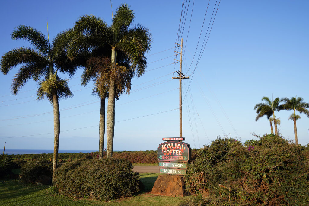 The Kauaʻi Coffee Company gift shop and museum sign is photographed Tuesday, Jan. 20, 2026, in Kalāheo. It’s reported Kauaʻi Coffee’s lease was not renewed. (Kevin Fujii/Civil Beat/2026)