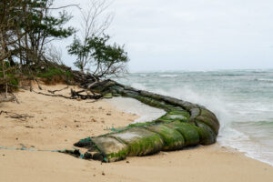 Public Access To North Shore Beach Has Been Cut Off
