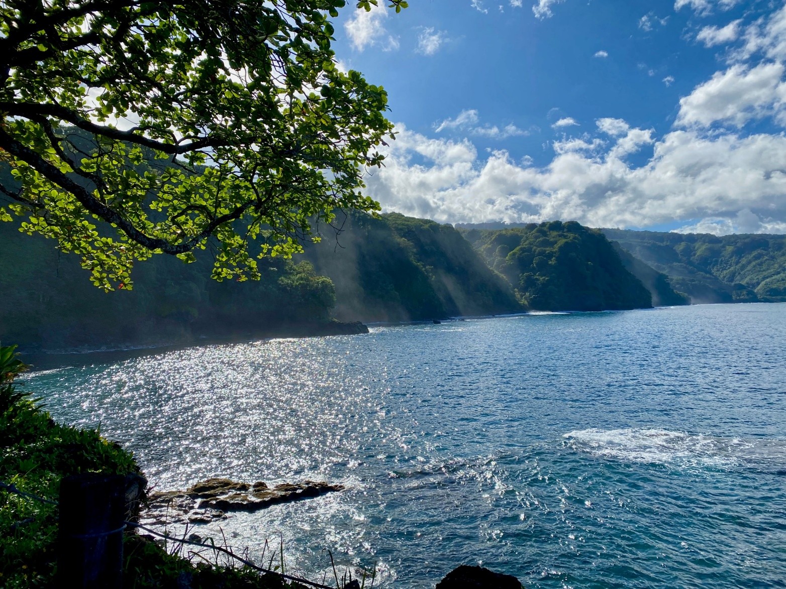 Kirstin Downey: Maui Properties Get State Money For Preservation