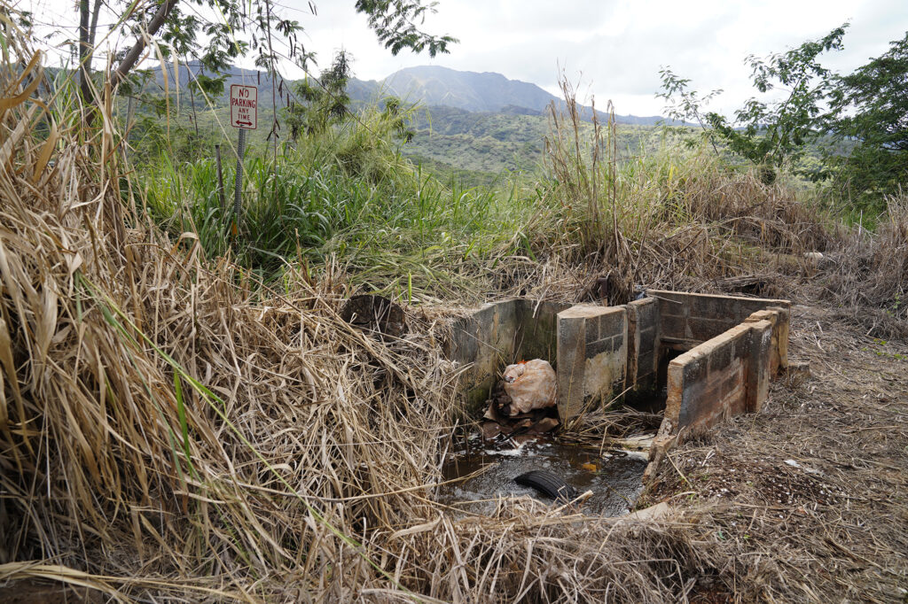 Charles Huang’s North Shore agricultural land floods Friday, Jan. 23, 2026, in Waialua. (Kevin Fujii/Civil Beat/2026)