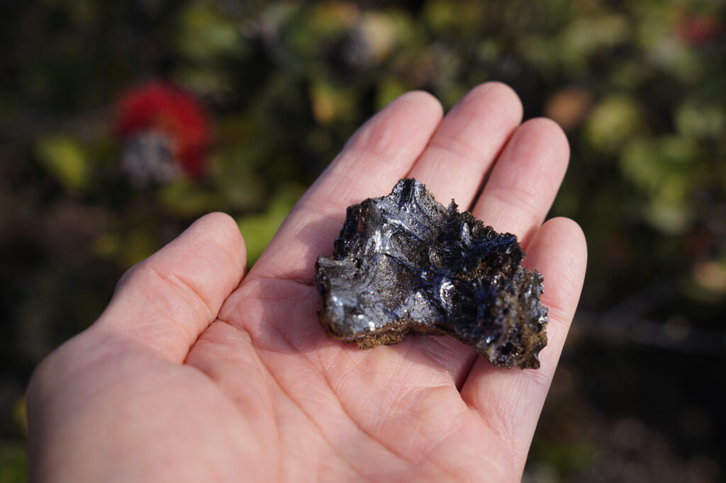 Tephra litters the area around Hawaiʻi Volcanoes National Park after Kīlauea’s 41st episode Thursday, Feb. 5, 2026, near Volcano, Hawaiʻi Island. (Kevin Fujii/Civil Beat/2026)