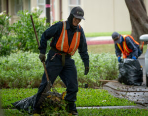 See Honolulu Clean Up Quiet Streets In Storm Aftermath