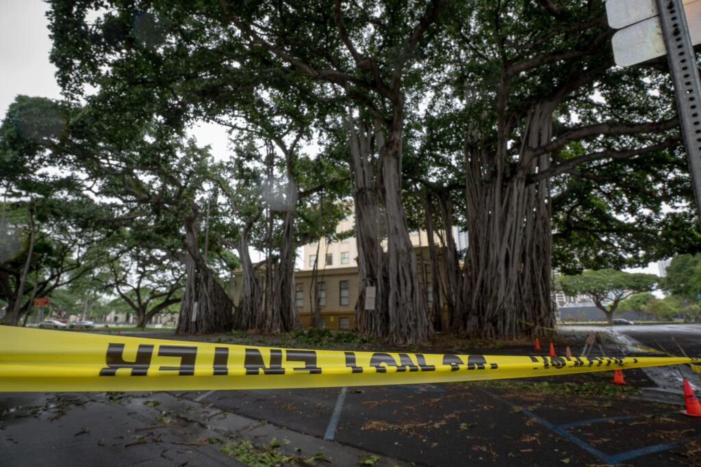 The banyan tree on the grounds of Ali'iolani Hale is cordoned off Monday, Feb. 9, 2026 because of broken branches from high winds and rain that struck Oahu the last two days. (Craig Fujii for Civil Beat).