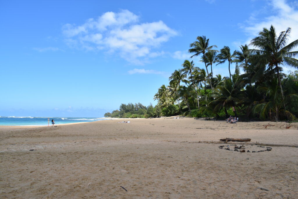 Hā‘ena Beach Park on Kaua‘i's North Shore on March 2, 2026.