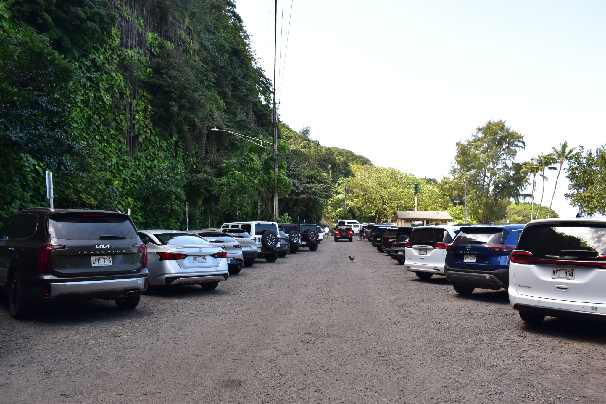 A full parking lot at Hā‘ena Beach Park. In the background, a car waits for people to leave.