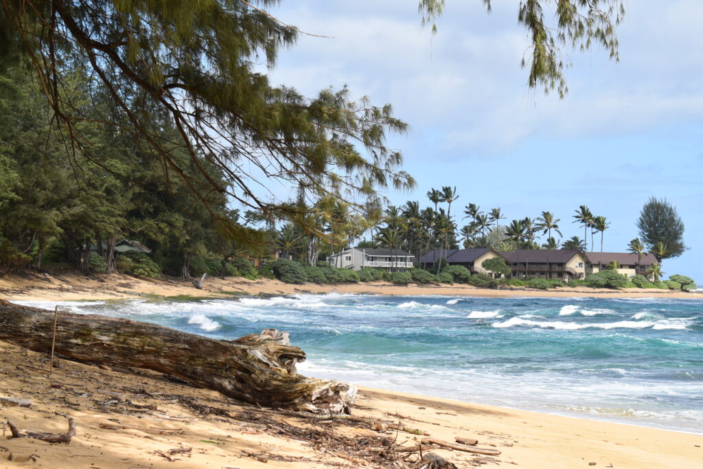 Waves crash along the sand at Wainiha Beach, where the Hanalei Colony Resort and a residence can be seen in the background.