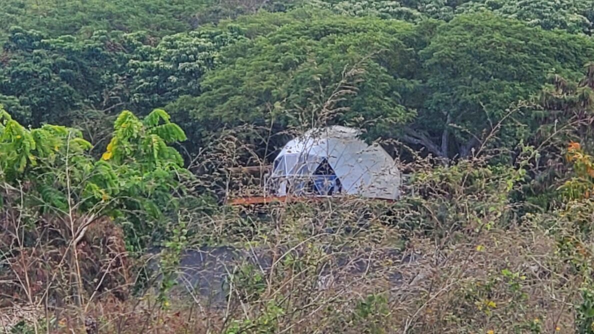 A dome-shaped house in the middle of a grove of trees. The building is on agricultural land in Kona and county records show there aren't any building permits for the structure.