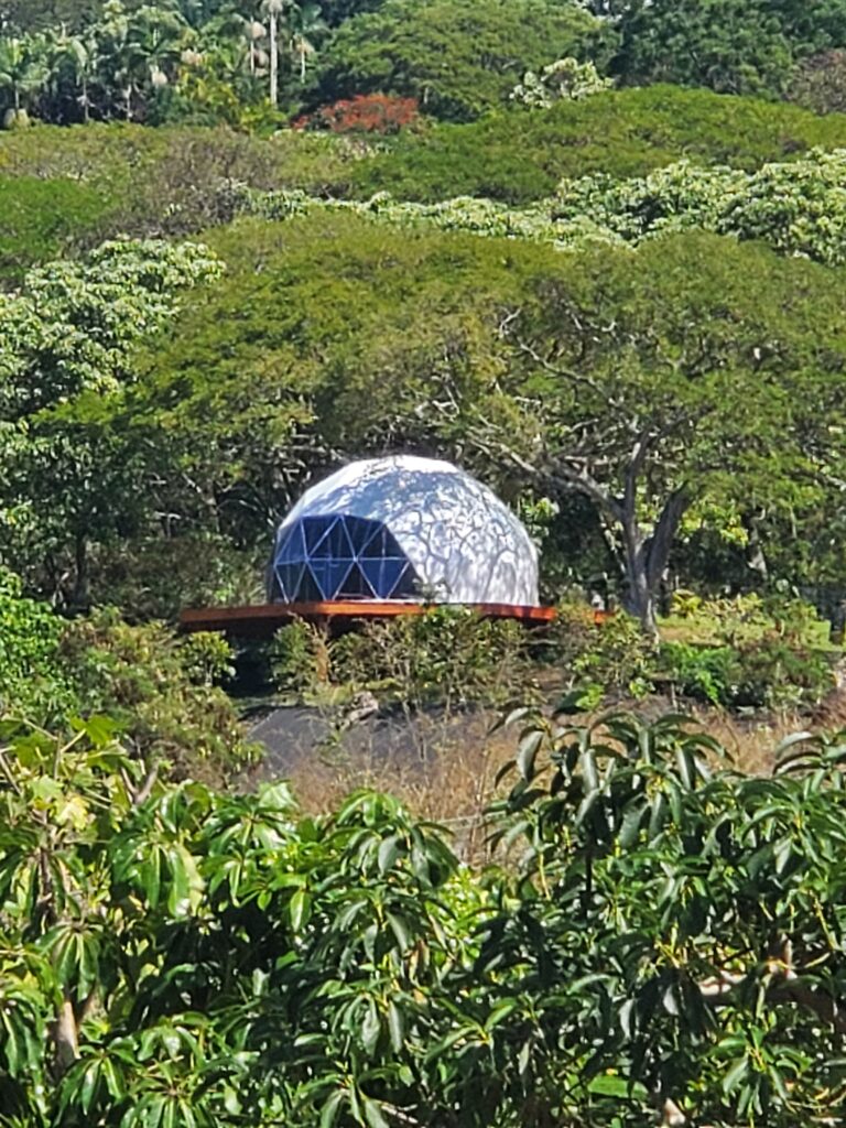 A dome-shaped house set among trees built without a permit in Kailua-Kona on Hawaiʻi Island.