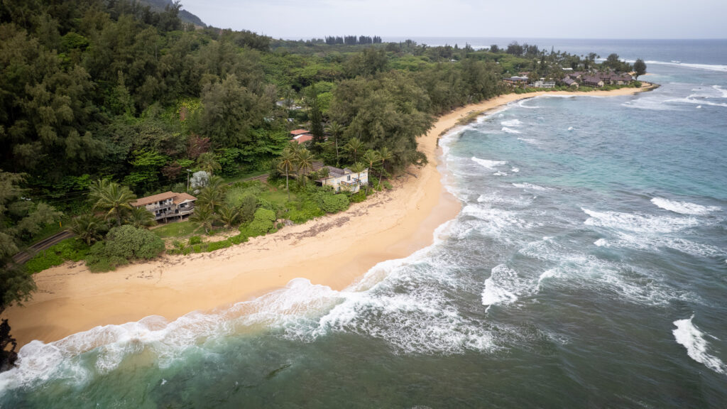 A light-colored strip of sand is seen in an aerial photograph that shows beachfront homes nestled among trees and foliage.