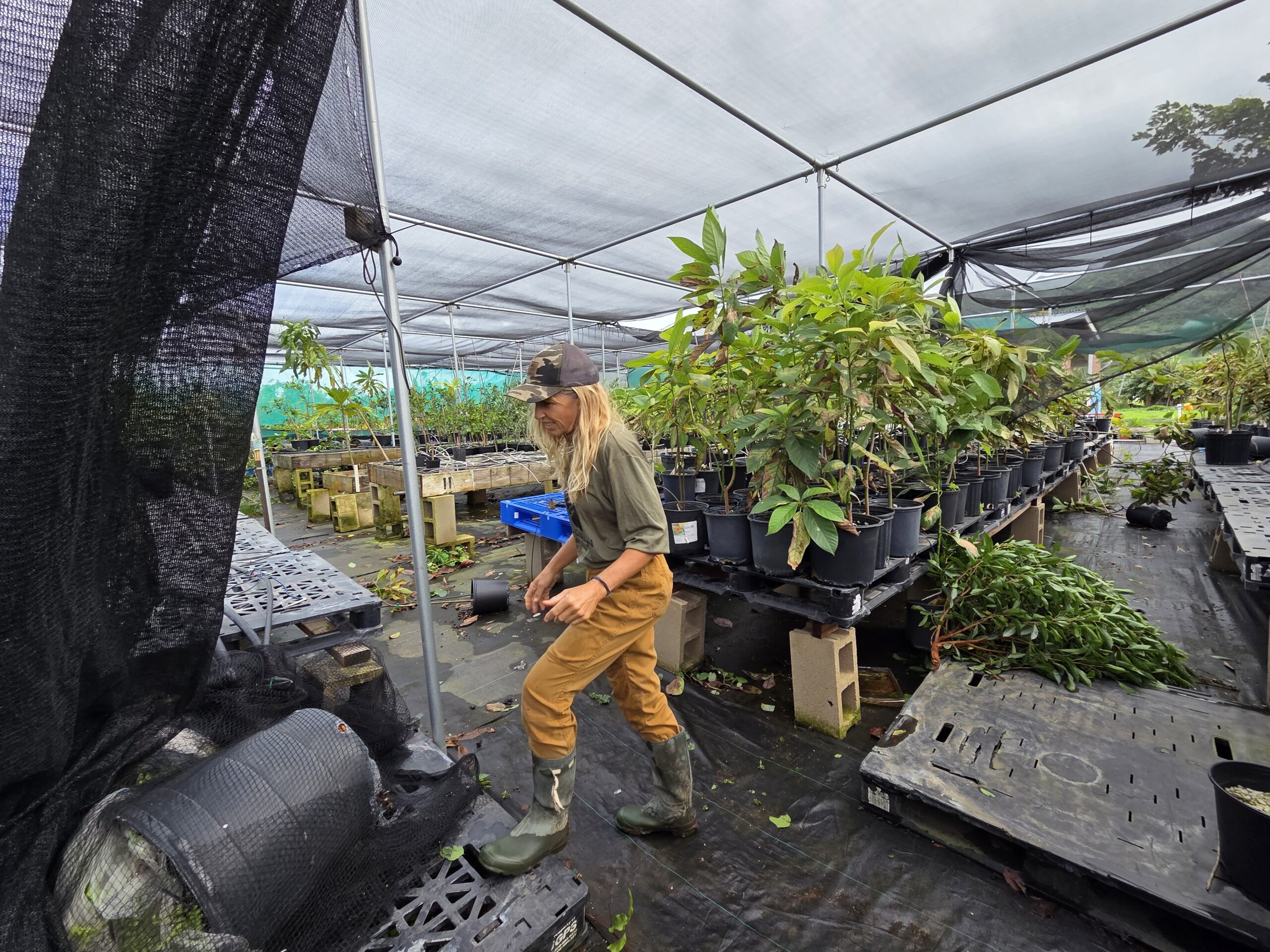 North Shore Oʻahu Farmers Search For Answers In The Kona Storm Wreckage