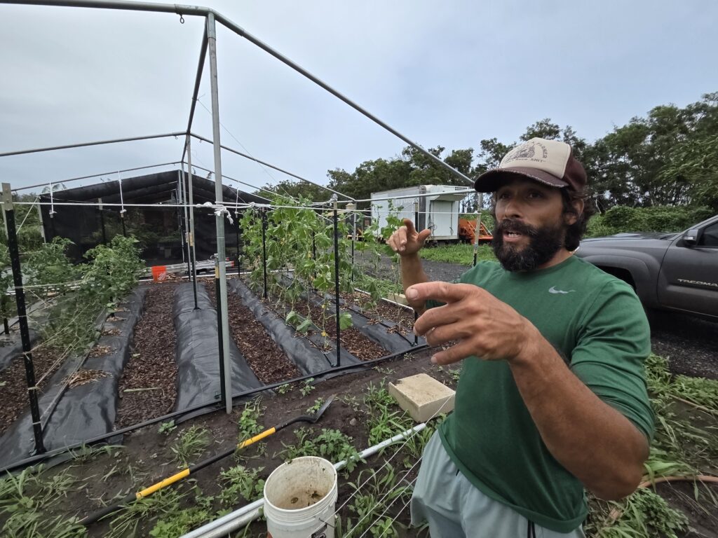 Eddie Oroyan at his farm at Kaʻena. Farm Lots. Virtually all of his 6 acre farm was underwater during the storm.