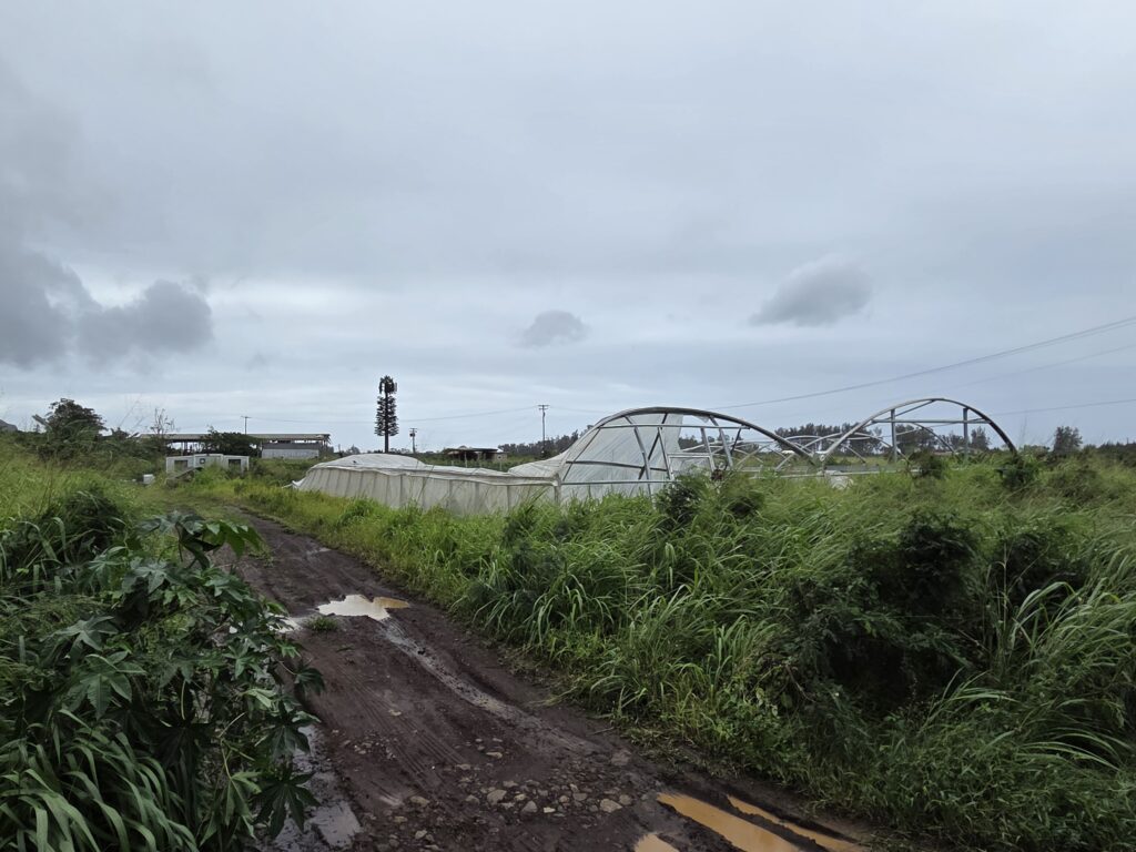 A hoop house at Kaʻena Farm Lots that was damaged in the March 2026 storms.