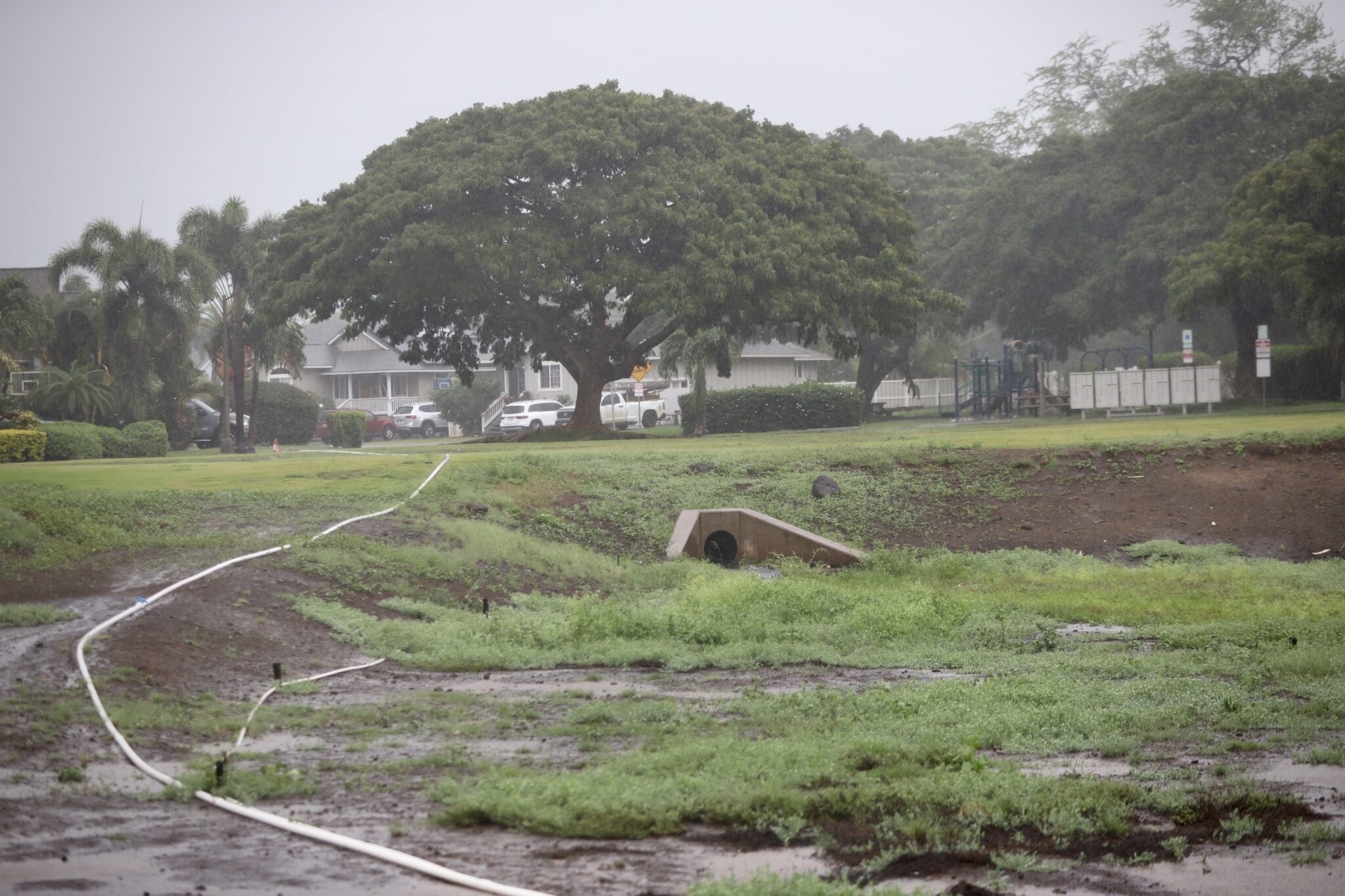 Tre' Evans-Dumaran, a 24-year-old firefighter with the Maui Fire Department, was responding to the flooding between South Kīhei Road and Oluea Street when he was swept up by a powerful current and sucked into an uncovered storm drain in Kulanihakoi gulch. (Erin Nolan/Civil Beat/2026)