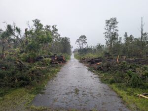 Will Bailey: Riders On The Storm