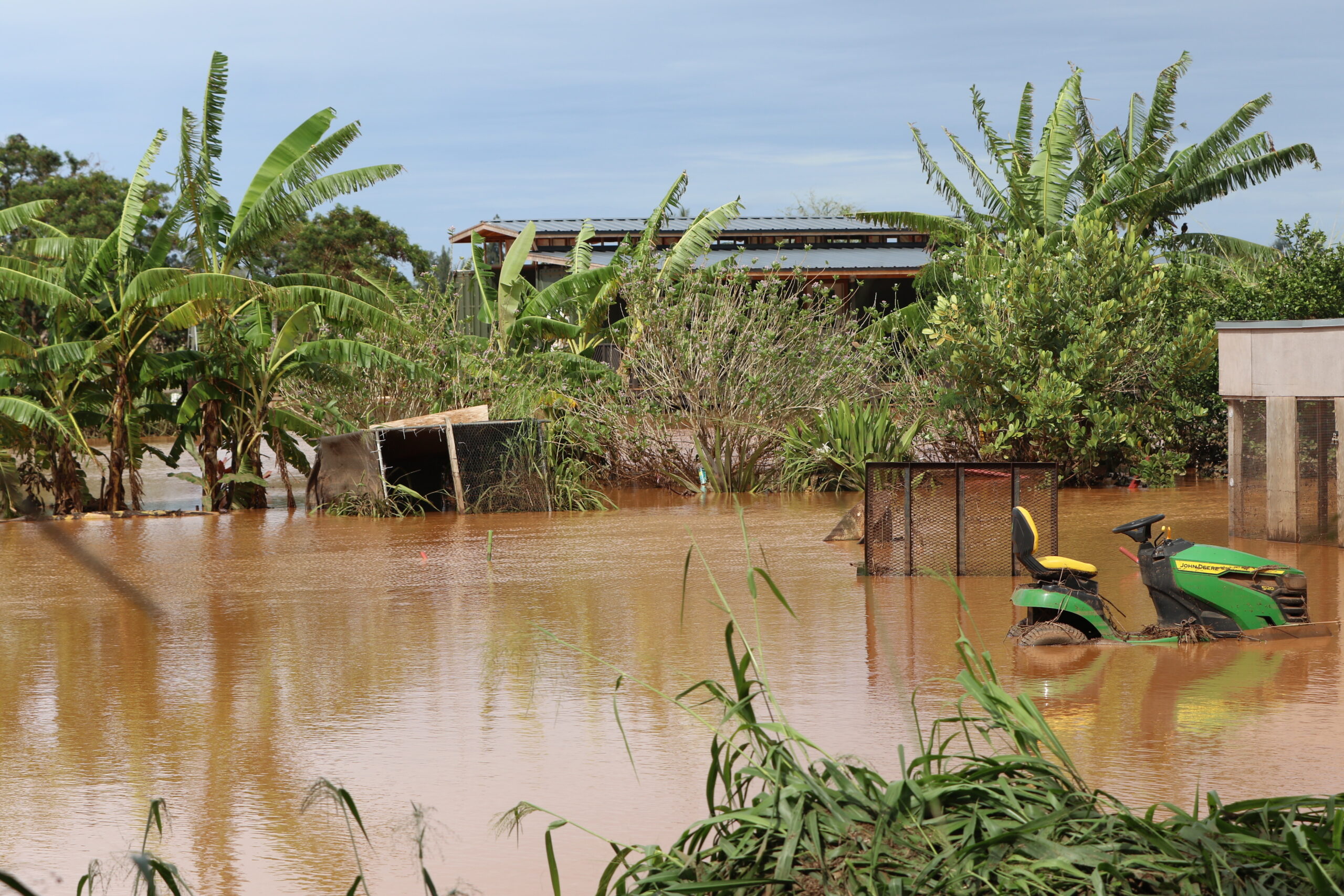 Hawai‘i Farmers Confront $11M In Flood Damage Without A Safety Net
