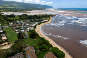 Hawaiʻi’s Corals Were Struggling To Survive. Then Came The Mud Floods