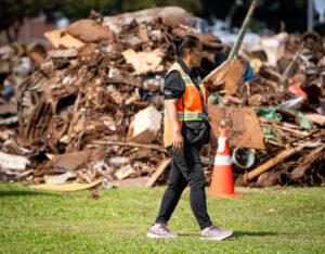 Disaster Debris: Coming Soon To A Park Near You?