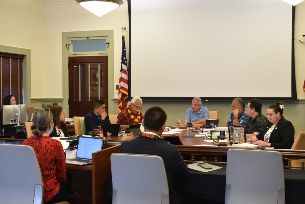 Kaua‘i's seven-member County Council convenes for a March meeting while the mayor and managing director await in the foreground.