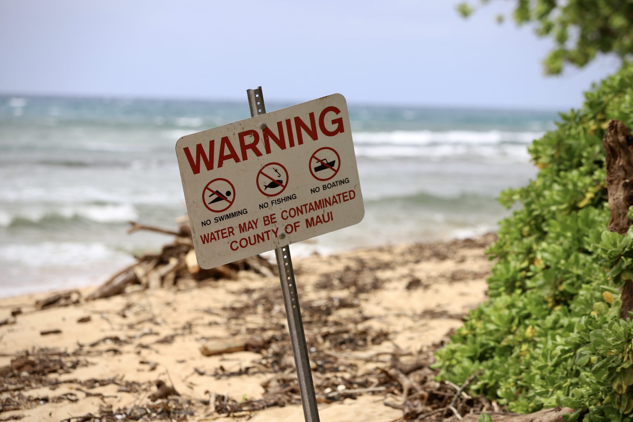 A handful of signs were placed along a beach in Honokowai to warn people that the water might be contaminated with partially treated wastewater from an overflow at the Lahaina Wastewater Reclamation Facility earlier this month. (Erin Nolan/Civil Beat/2026)