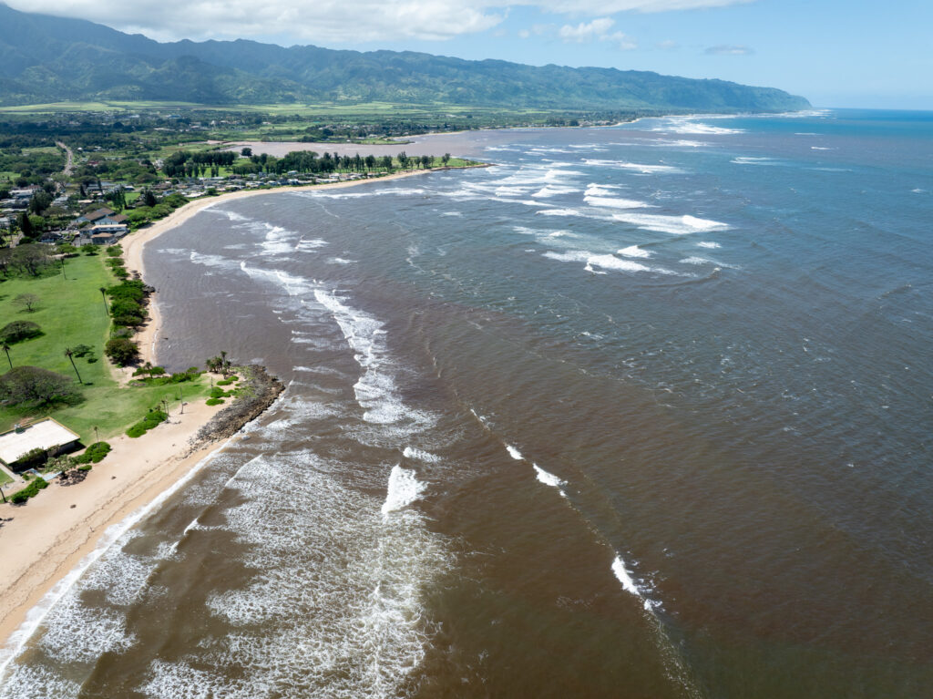 Brown water off Haleiwa's Ali'i Beach Park, March 26, 2026. (Craig Fujii/Civil Beat/2026)