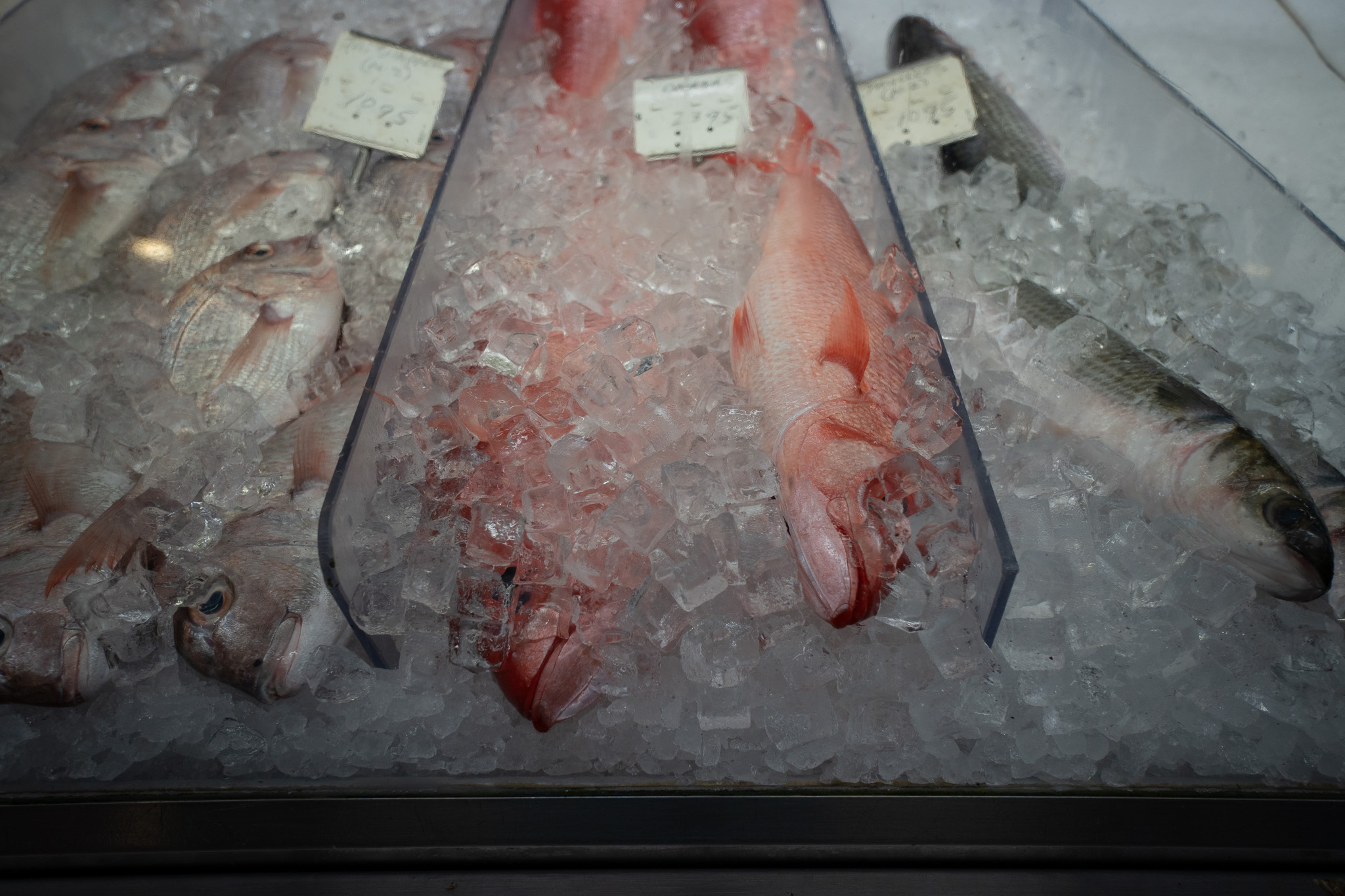 Fresh tai, left, onaga and mullet are put on ice at Tamashiro Market April 3, 2026.