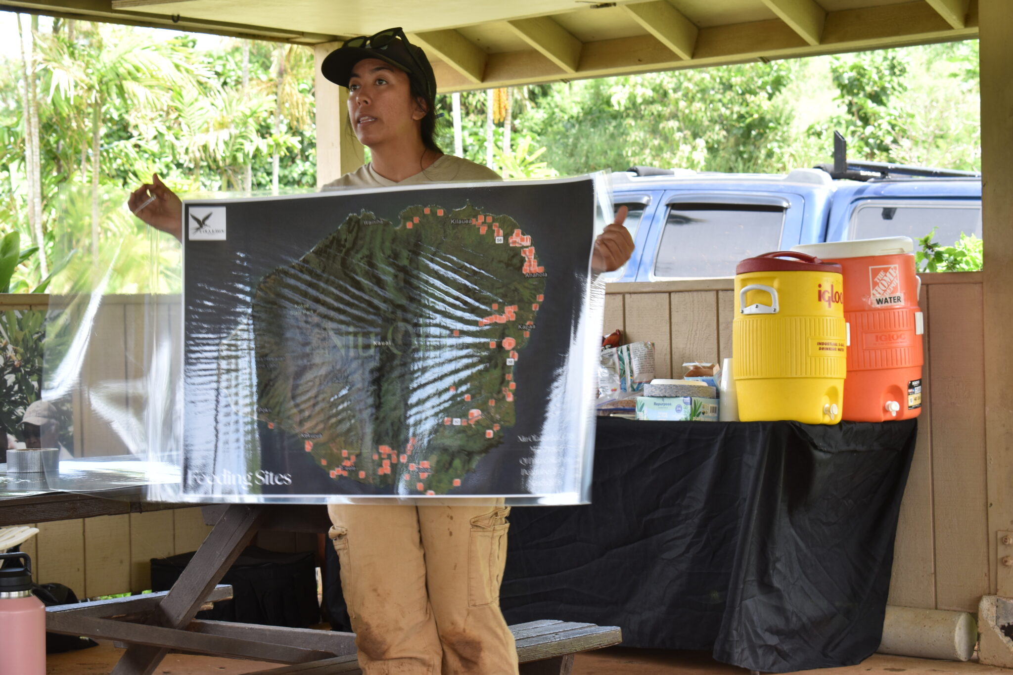 Nākai‘elua Villatora holds a laminated printout of a map of Kaua‘i with orange squares and circles depicting Coconut Rhinoceros Beetle feeding sites.